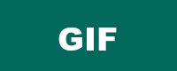 gif file
